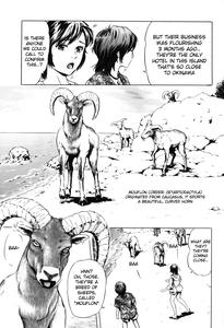 Nangoku no Mouflon | Mouflon of the South - page 3